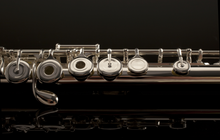 Load image into Gallery viewer, Pearl Quantz Offset Flute G/Open Hole/B-Foot/Split-E +Cleaning Kit/Rod/Case | +2-Day | WorldShip | Authorized Dealer