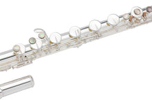 Load image into Gallery viewer, Pearl 305 BE Bass Flute B-Foot W/E-Mechanism +Case/Cover/Cleaning Kit +2-Day | WorldShip | Authorized Dealer
