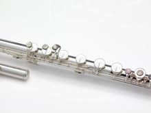 Load image into Gallery viewer, Pearl Bass Flute PFB305 w/Maintenance Kit, Rod, Case +2-Day | Worldwide Ship | NEW | Authorized Dealer
