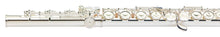 Load image into Gallery viewer, Pearl *Pre-Order* Quantz 525 Series Flute Split E, B-Foot, Offset G +Cleaning Rod, Kit, Case | 525RBE1RB | WorldShip | Special Order | Authorized Dealer
