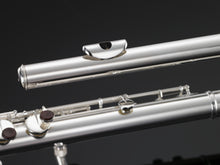 Load image into Gallery viewer, Pearl Bass Flute PFB305 w/Maintenance Kit, Rod, Case +2-Day | Worldwide Ship | NEW | Authorized Dealer
